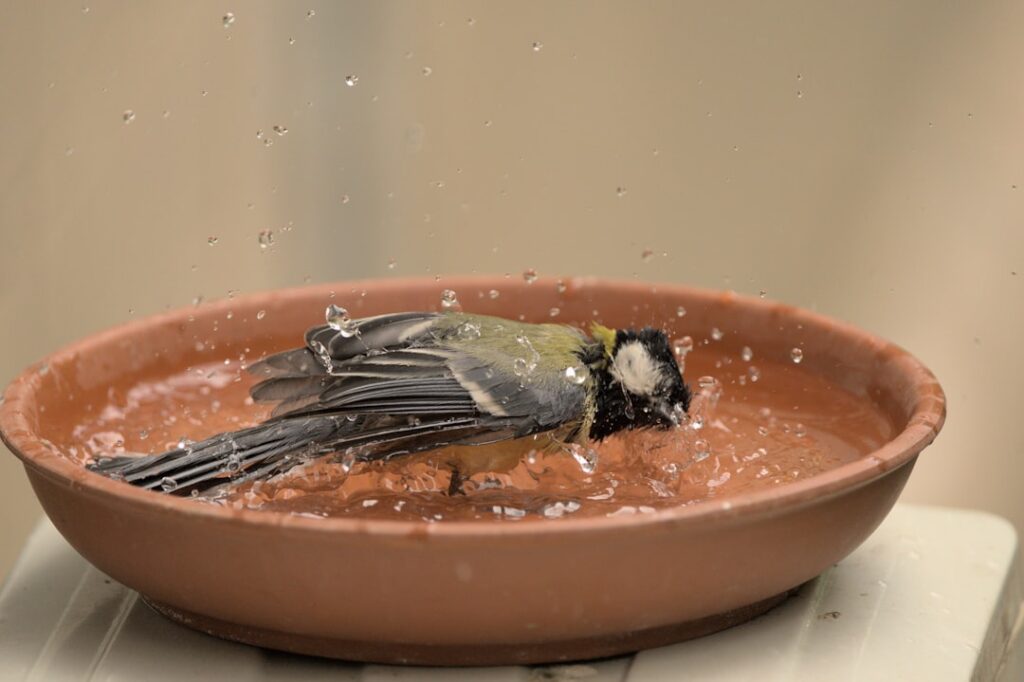 Photo Jet Washing