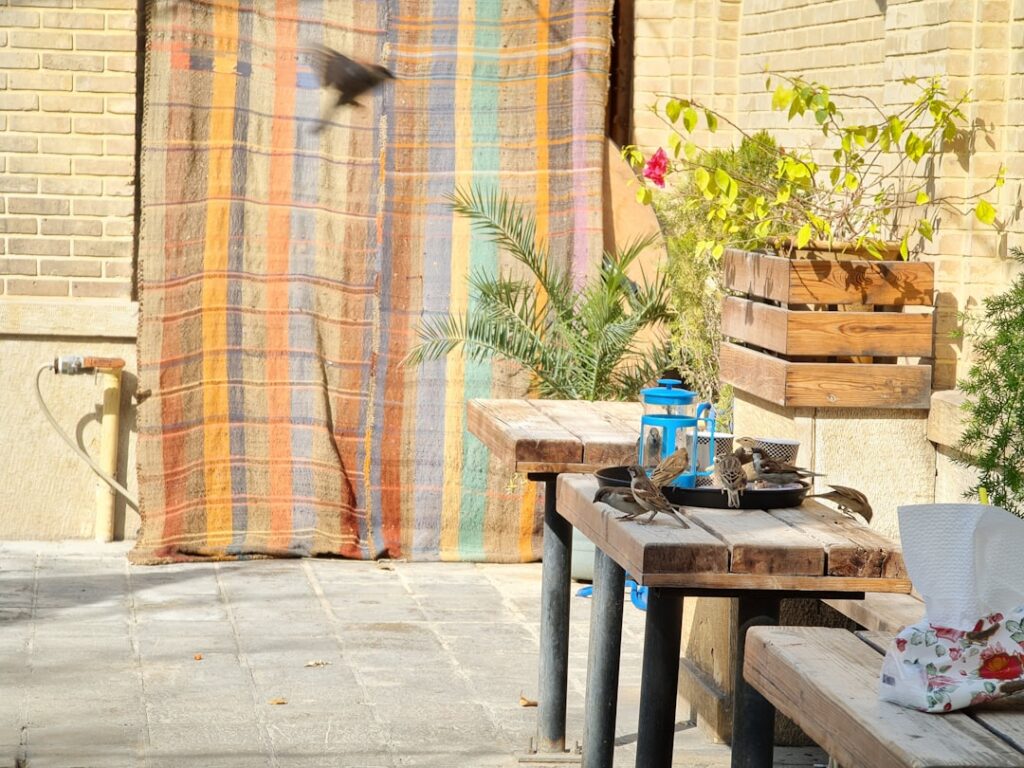 Photo Jet Wash Patio