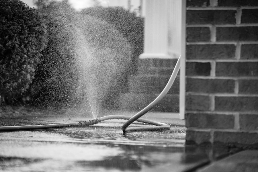 Photo Pressure Washing